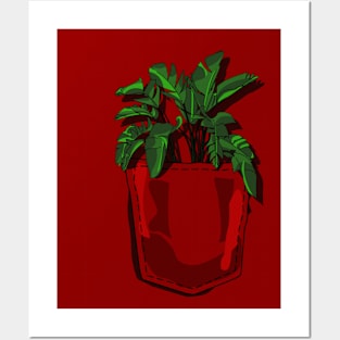 Plant in my Pocket - Monstera Plant in Shirt Pocket Posters and Art